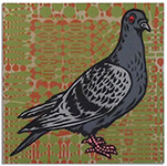 pigeon (dark grey)