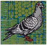 pigeon (light grey)